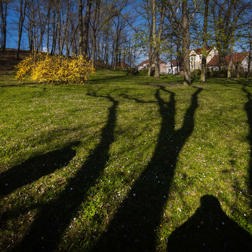 Zobrazit obrázek: Městský park (1)