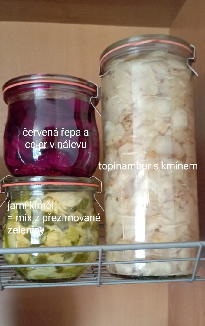 Model.Name: 2026 06 06 IC Jak Na Kvašenou Zeleninu