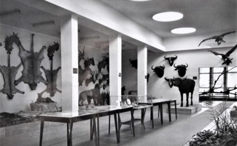 Původní expozice Památníku Dr. Emila Holuba 2