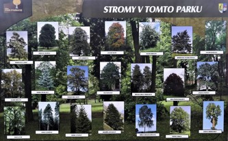 Stromy v Městském parku