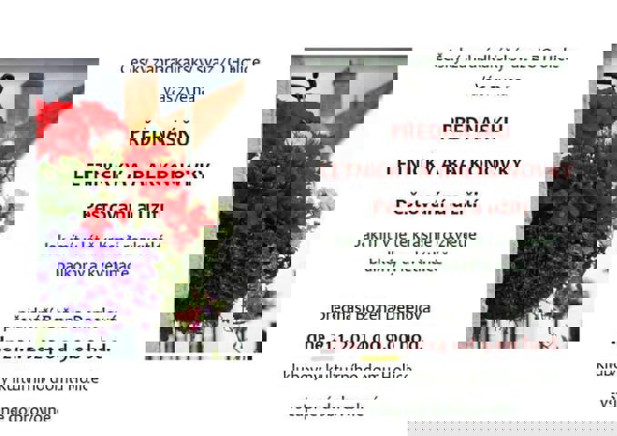 Model.Name: 2024 01 21 Zahradkari Prednaska Letnicky A Balkonovky