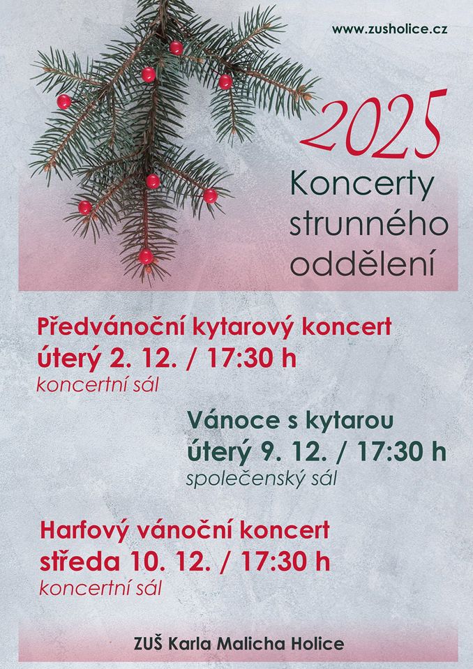 Model.Name: 2025 12 02 IC Koncerty Strunného Oddělení Předvánoční Kytarový Koncert
