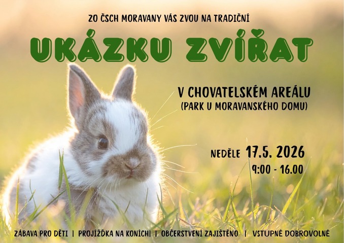 Model.Name: 2026 05 17 IC Ukázka Zvířat