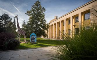 Trocha Afriky mezi muzeem a Kulturním domem města Holic