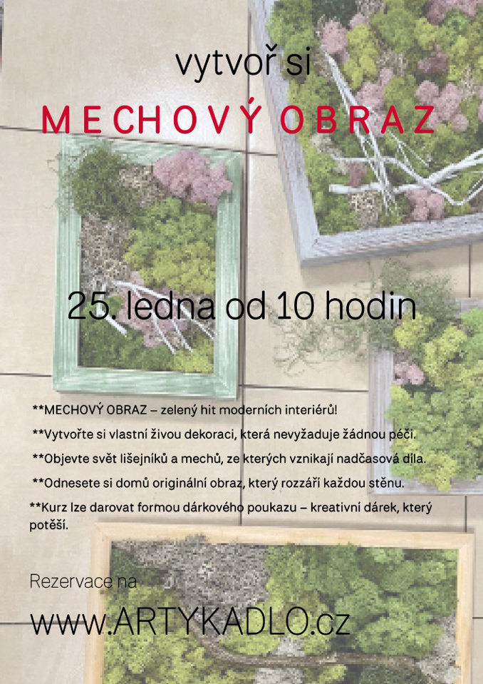 Model.Name: 2026 01 25 Holice Artykadlo Mechovy Obraz