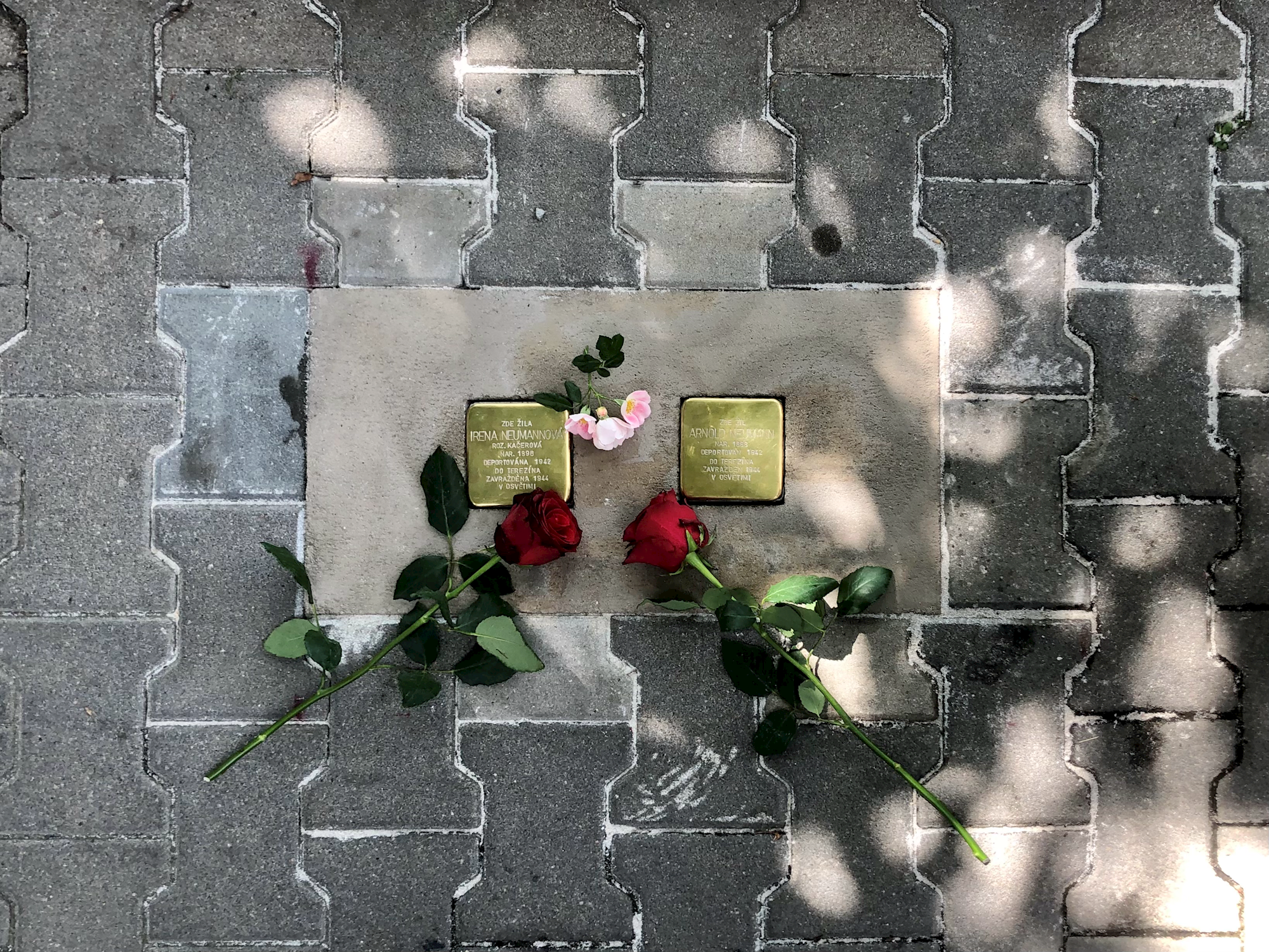 Zobrazit obrázek: Položené Kameny