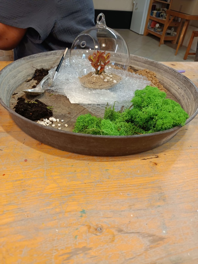 Model.Name: 2026 04 12 IC Aerárium